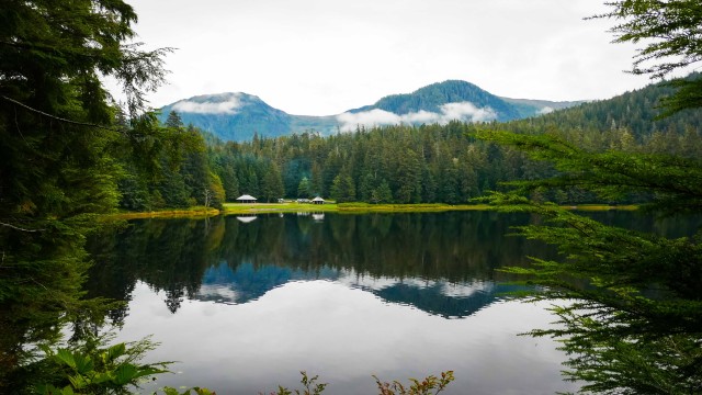 Tongass National Forest